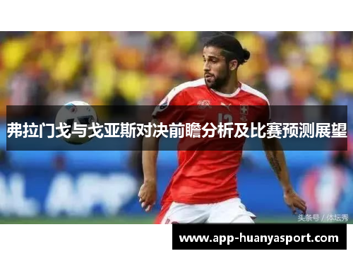 弗拉门戈与戈亚斯对决前瞻分析及比赛预测展望